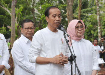 Tujuan Mulia, Pembangunan Ibu Kota Nusantara untuk Pemerataan Ekonomi