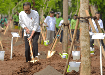 Antisipasi Perubahan Iklim dan Atasi Polusi, Presiden Tanam Pohon Bersama di Pulo Gadung