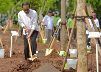 Antisipasi Perubahan Iklim dan Atasi Polusi, Presiden Tanam Pohon Bersama di Pulo Gadung