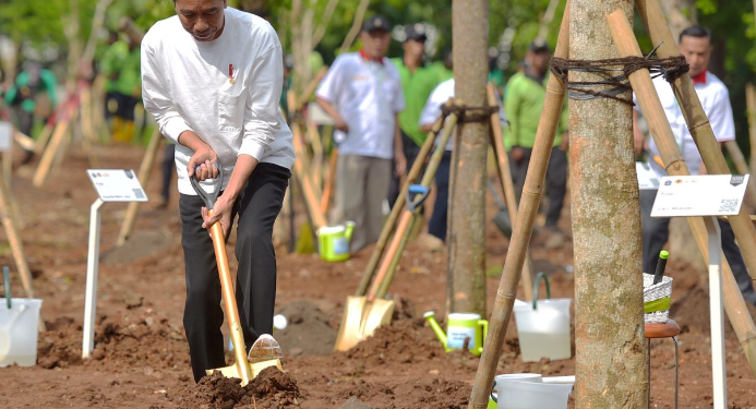 Presiden menggali sendiri tanah untuk menanam pohon.(foto:SetkabRI)