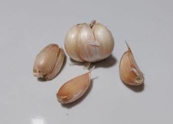 Menggali Keajaiban Bawang Putih untuk Kesehatan Optimal