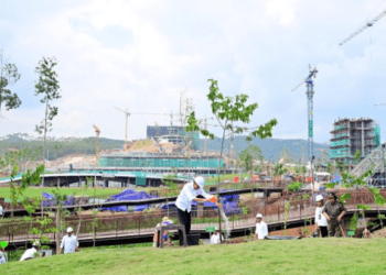 Tanam Pohon Bersmaa Masyarakat, Presiden Jokowi Tekankan Keberlanjutan Lingkungan