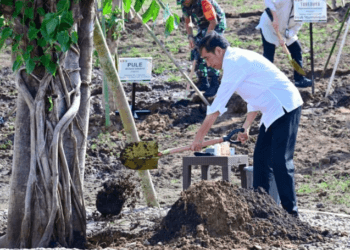 Langkah Nyata Hadapi Perubahan Iklim, Presiden Tanam Pohon Bersama Masyarakat