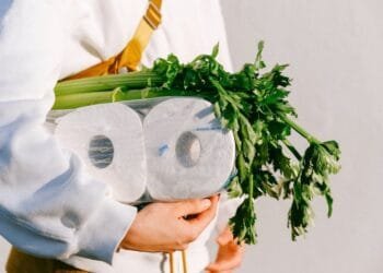 Menjelajahi Keajaiban Seledri: Bumbu Dapur Berkhasiat Tinggi