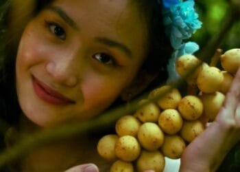 Buah Langsat Ternyata Mampu Cegah Penuaan Dini: Berikut Berbagai Manfaatnya