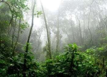 CERITA LUCU: Begini Cara Abu Nawas Menghindari Hujan