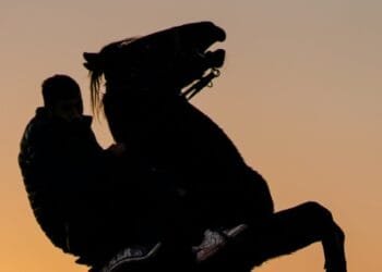 CERITA LUCU: Abu Nawas Diusir dari Kota