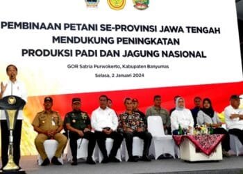Pemerintah Sediakan 1,2 Juta Ton Pupuk Bersubsidi: Anggaran Subsidi 2024 Masih Bertambah