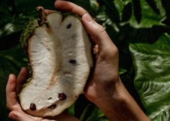 Cara Menikmati Buah Sirsak dalam Pola Makan Sehari-hari