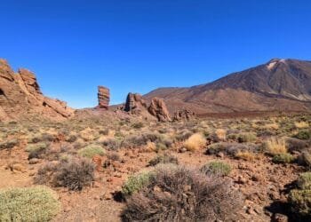 CERITA LUCU: Abu Nawas Mengerjai Komandan Tentara Kerajaan