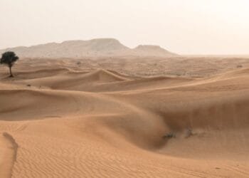 CERITA LUCU: Abu Nawas Mengaku Sebagai Dewa Bumi