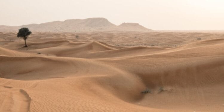 Ilustrasi gurun pasir.(Foto:Pexels.com)