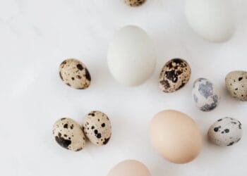 CERITA LUCU: Abu Nawas Membagi Lima Butir Telur