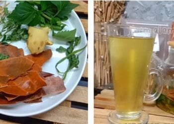 Mengenal Obat Alami Gagal Ginjal untuk Mencegah Cuci Darah Terus