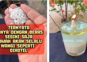 Ini Rahasia Membuat Rumah Anda Wangi Seperti di Hotel