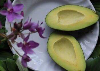 Kandungan Gizi dalam Buah Alpukat: Mengungkap Keajaiban Nutrisi yang Tersembunyi