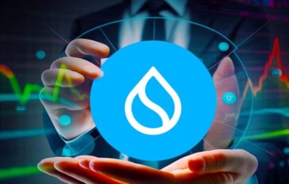 Ilustrasi Sui Token.(Coinedition)