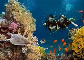 Menjelajahi Keindahan Alam Bawah Laut Bunaken: Surga Tersembunyi di Utara Sulawesi