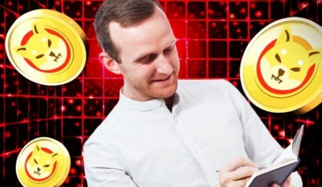 Ilustrasi Shiba Inu.(Coinedition)