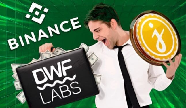 Ilustrasi DWF Labs.(Coinedition)