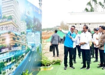 Jokowi Dorong Energi Hijau di Ibu Kota Nusantara: Masa Depan Terang Indonesia