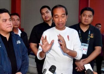 Presiden Jokowi Ajak UEA Berinvestasi di IKN dan Ekosistem Kendaraan Listrik