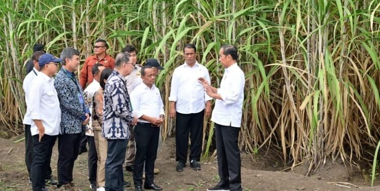 Presiden Jokowi menanam tebu di Merauke.(Setkab RI)