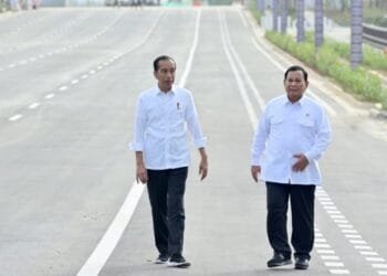 Ini Optimisme dan Harapan Presiden Jokowi dan Menhan Prabowo Saat Meninjau Progres Pembangunan IKN