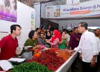 Jokowi Pantau Stabilitas Harga Pangan di Pasar Lubuk Pakam, Komoditas Alami Penurunan