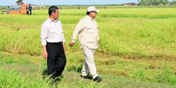 Presiden Prabowo Subianto berkunjung ke Desa Telaga Sari, Distrik Kurik, Kabupaten Merauke, Provinsi Papua Selatan, Minggu (03/11/2024).(Foto: Setkab RI)