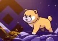 BABYDOGE Meledak 3.130% Berkat Postingan Elon Musk di X