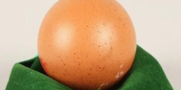 Inilah Telur Ayam Termahal di Dunia: Satu Butir Terjual Hampir Rp4 Juta