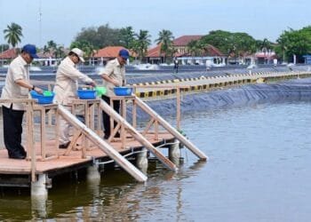 Dorong Swasembada Pangan dan Ekonomi Biru: Presiden Prabowo Subianto Tinjau Kawasan BLUPPB Karawang