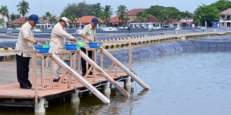 Presiden Prabowo Subianto Tinjau Kawasan BLUPPB Karawang, Senin (02/12/2024).(Presidenri)