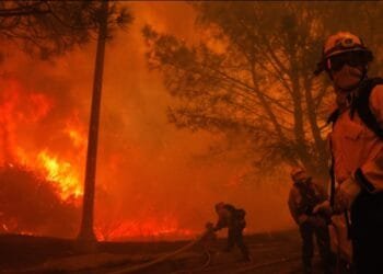 Kebakaran Hebat di Pacific Palisades, di Los Angeles, Hanguskan Banyak Bangunan