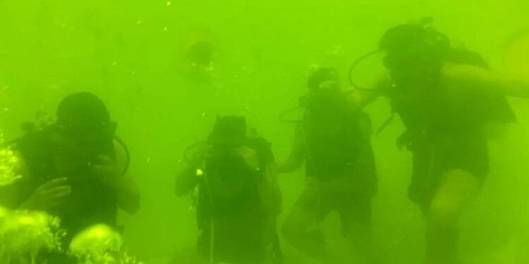 Latihan Selam Dasar di Surabaya.(PuspenTNI)