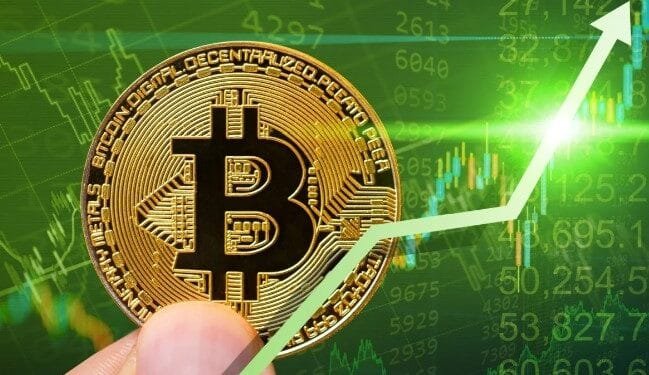 Ilustrasi Bitcoin bull.(Bitcoin News)