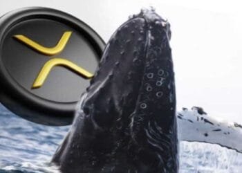 Whale XRP Lanjutkan Aksi Borong, Tambah 20 Juta Koin Lagi!