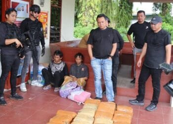 Polri Gagalkan Penyelundupan 74 Kilogram Ganja Jaringan Antarprovinsi