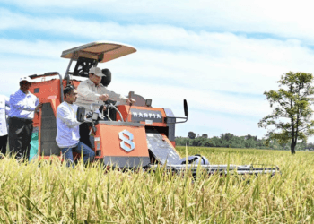 Presiden Prabowo Pimpin Panen Raya di 14 Provinsi, Tegaskan Petani adalah Penjaga Kedaulatan Bangsa