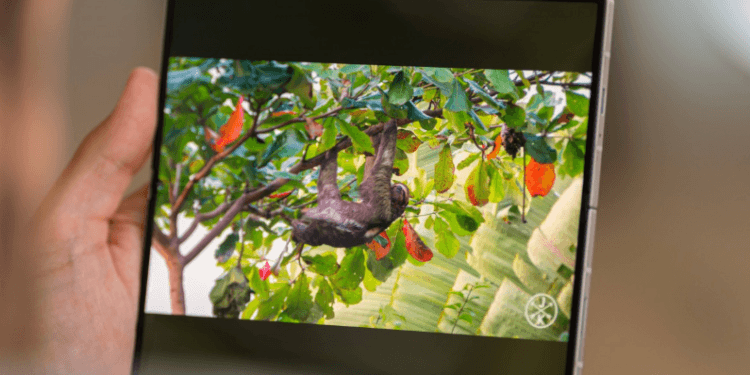 Samsung Galaxy Z Fold6.(GSM)