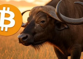 CEO Ripple Yakin XRP Akan Rebut 14% Volume Pembayaran SWIFT dalam 5 Tahun Mendatang