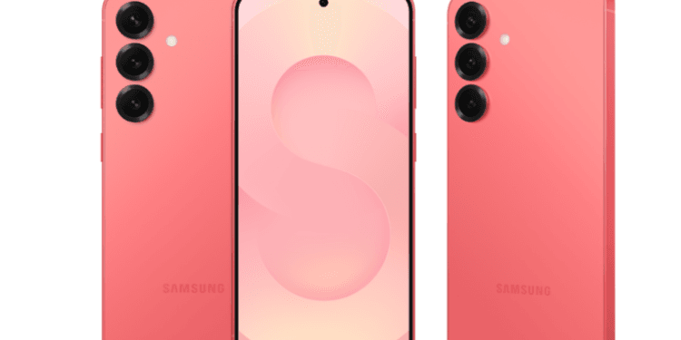 Samsung Galaxy S25.(Gizmo)