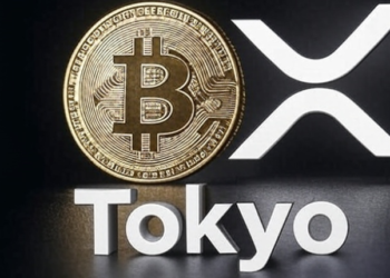 Bitcoin Terancam Jatuh di Bulan Agustus! Para Trader Prediksi 80% Kemungkinan Harga Merosot Tajam