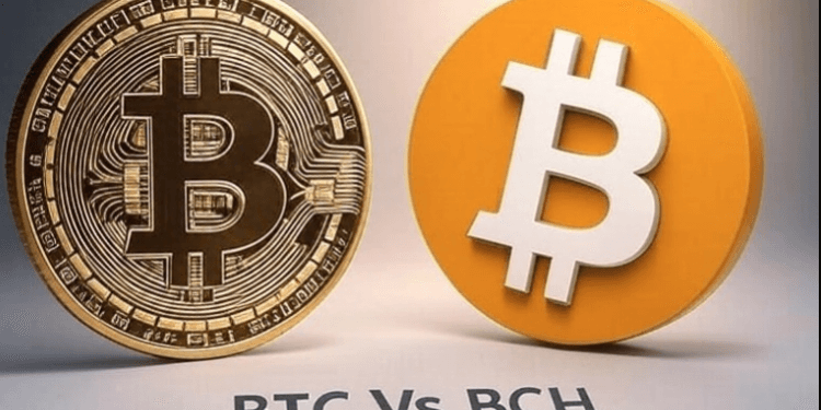 Ilustrasi BTC Vs BCH.(grok)