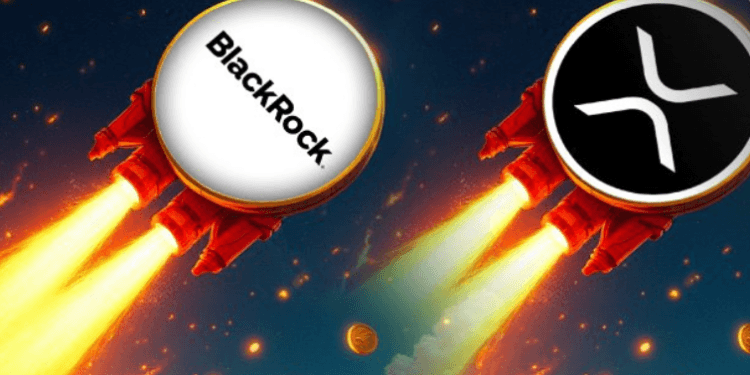 Ilustrasi BlackRock dan Ripple.(Coinedition)