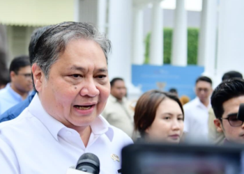 Pemerintah RI Siapkan Program Magang Nasional, Fresh Graduate Dijamin Gaji Sesuai UMP