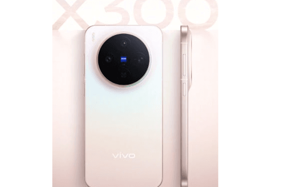 Vivo X300.(Gizmo)