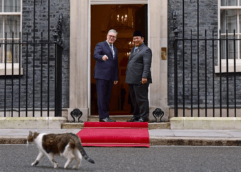 Diplomasi Hangat di Downing Street, Presiden Prabowo Disapa PM Starmer dan Larry the Cat