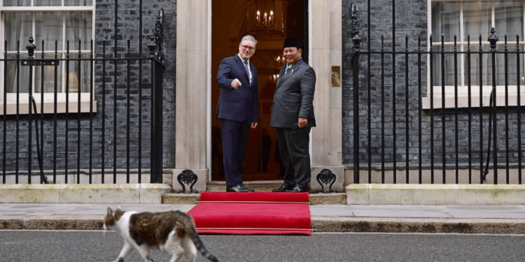 PM Inggris Keir Starmer mengenalkan Larry the Cat, Chief Mouser to the Cabinet Office sejak 2011 kepada Presiden Prabowo Subianto saat melakukan pertemuan di Kantor PM Inggris, Downing Street, London, pada Selasa, 20 Januari 2026.(Presidenri)